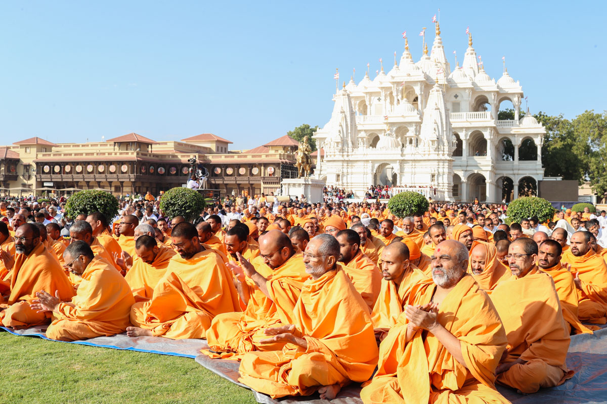 Sadhus during the mahapuja rituals