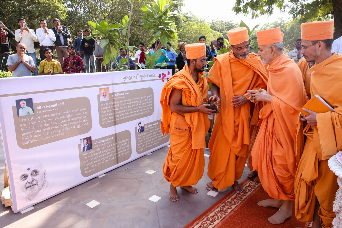 Swamishri sanctifies a Kalpavrukhsh tree sapling to be planted at the spot where Pramukh Swami Maharaj's palkhi was placed during his final rites on 17 August 2016