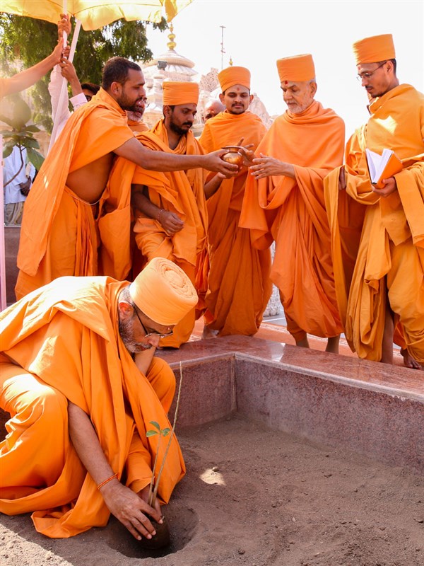 Gnaneshwar Swami plants the sanctified Kalpavrukhsh tree sapling