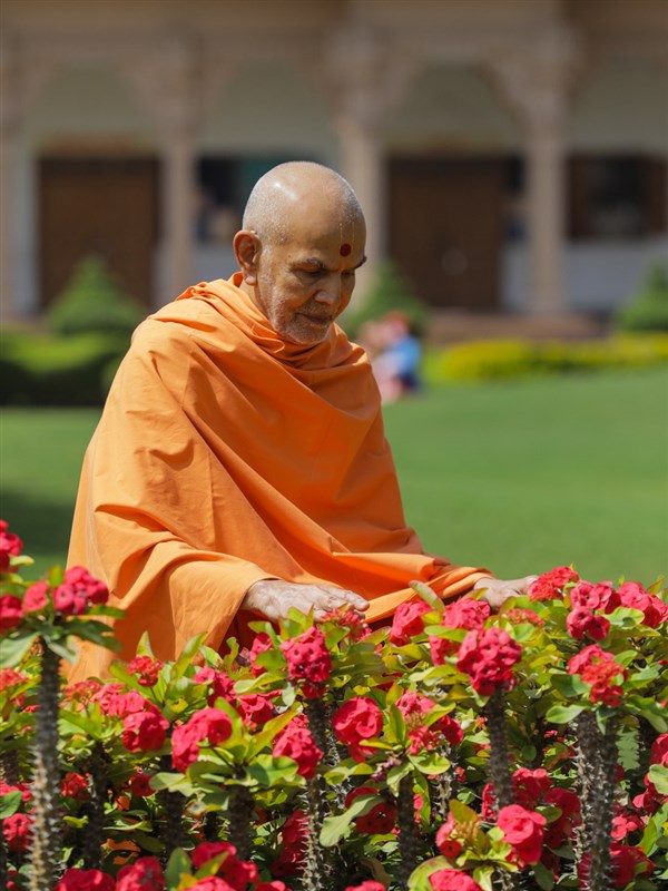 Swamishri in the mandir gardens