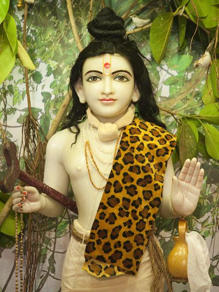  Bhagwan Swaminarayan adorned as Nilkanth Varni
