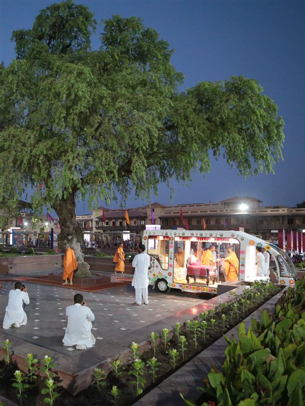 Swamishri performs pradakshina of the sacred khijdo tree