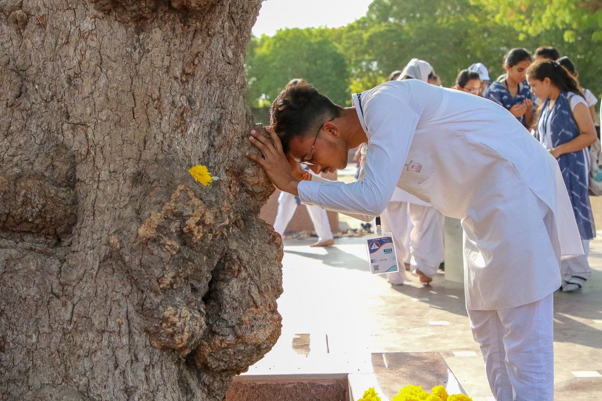 A youth doing darshan of the sacred khijdo tree