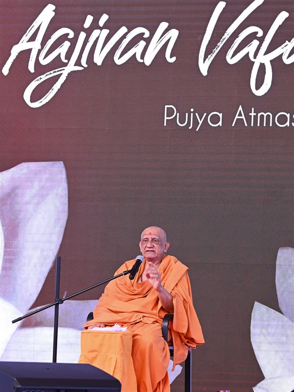 Atmaswarup Swami addresses the shibir