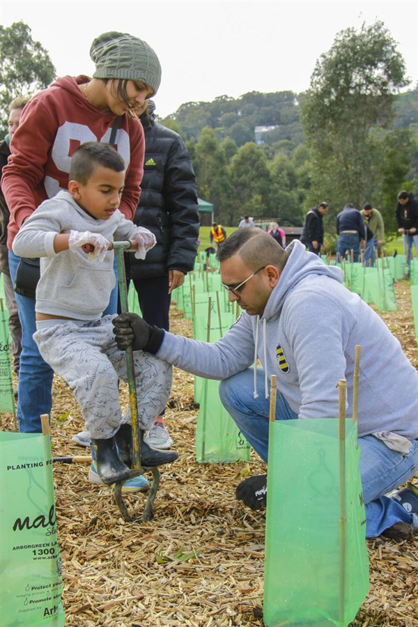 Tree Plantation Drive 2019, Melbourne