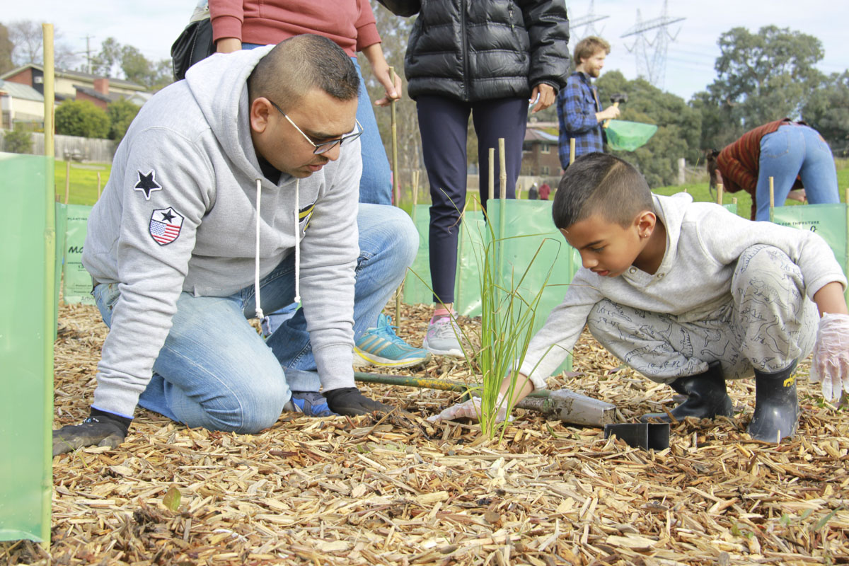 Tree Plantation Drive 2019, Melbourne