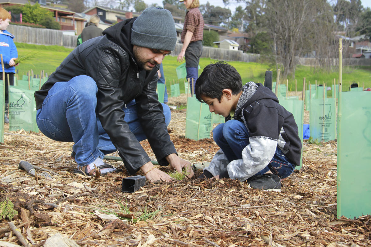 Tree Plantation Drive 2019, Melbourne