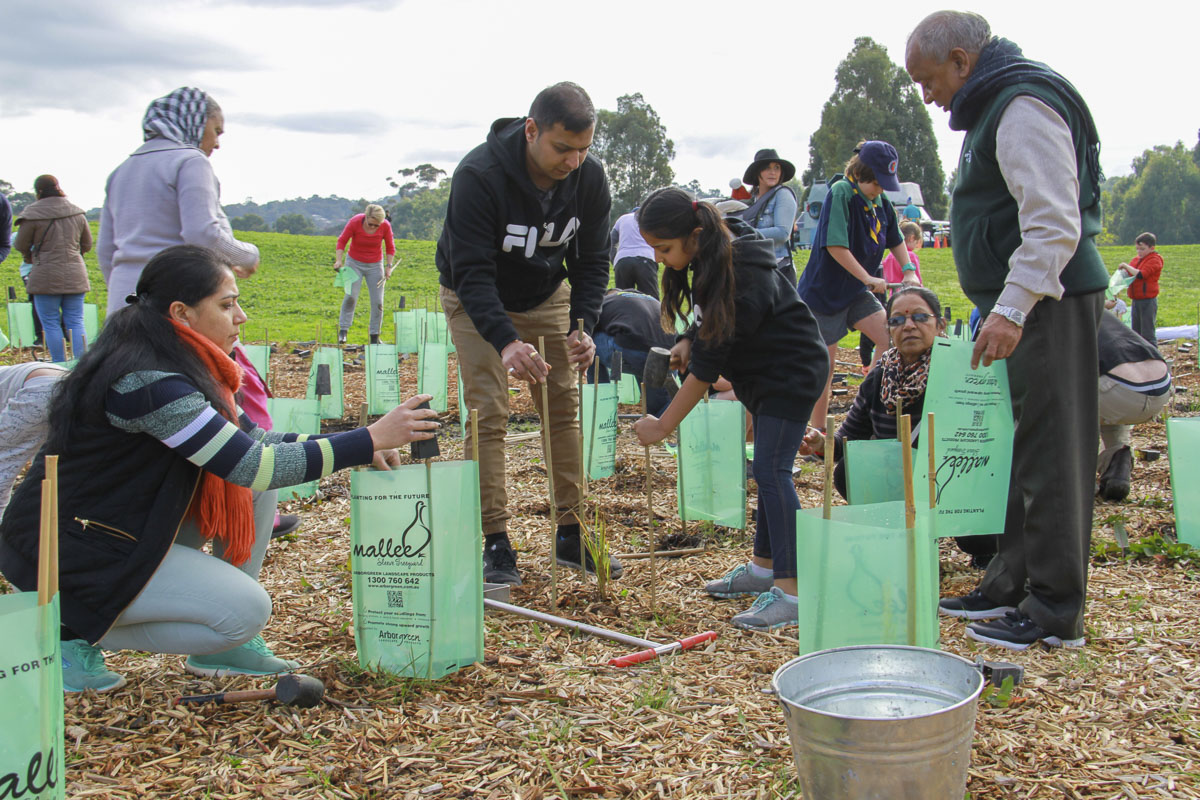 Tree Plantation Drive 2019, Melbourne