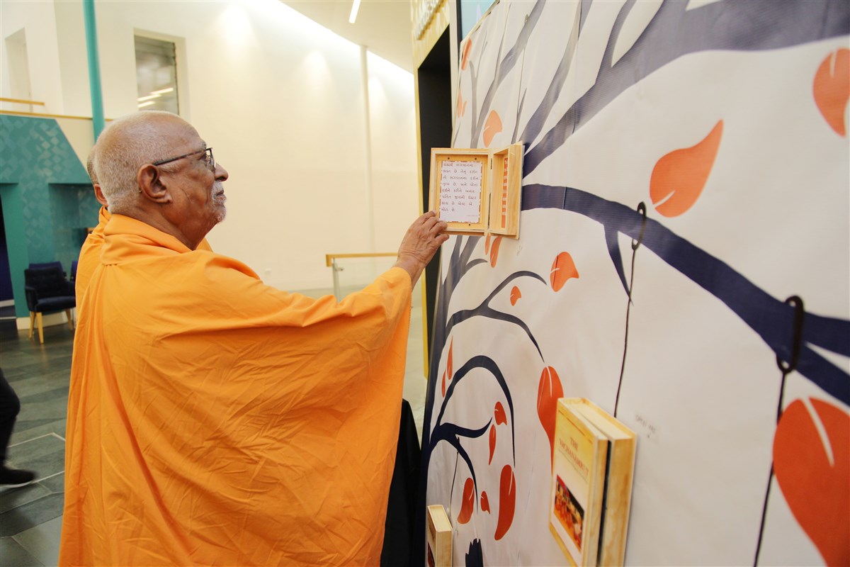 Pujya Doctor Swami interacts with a learning display for delegates
