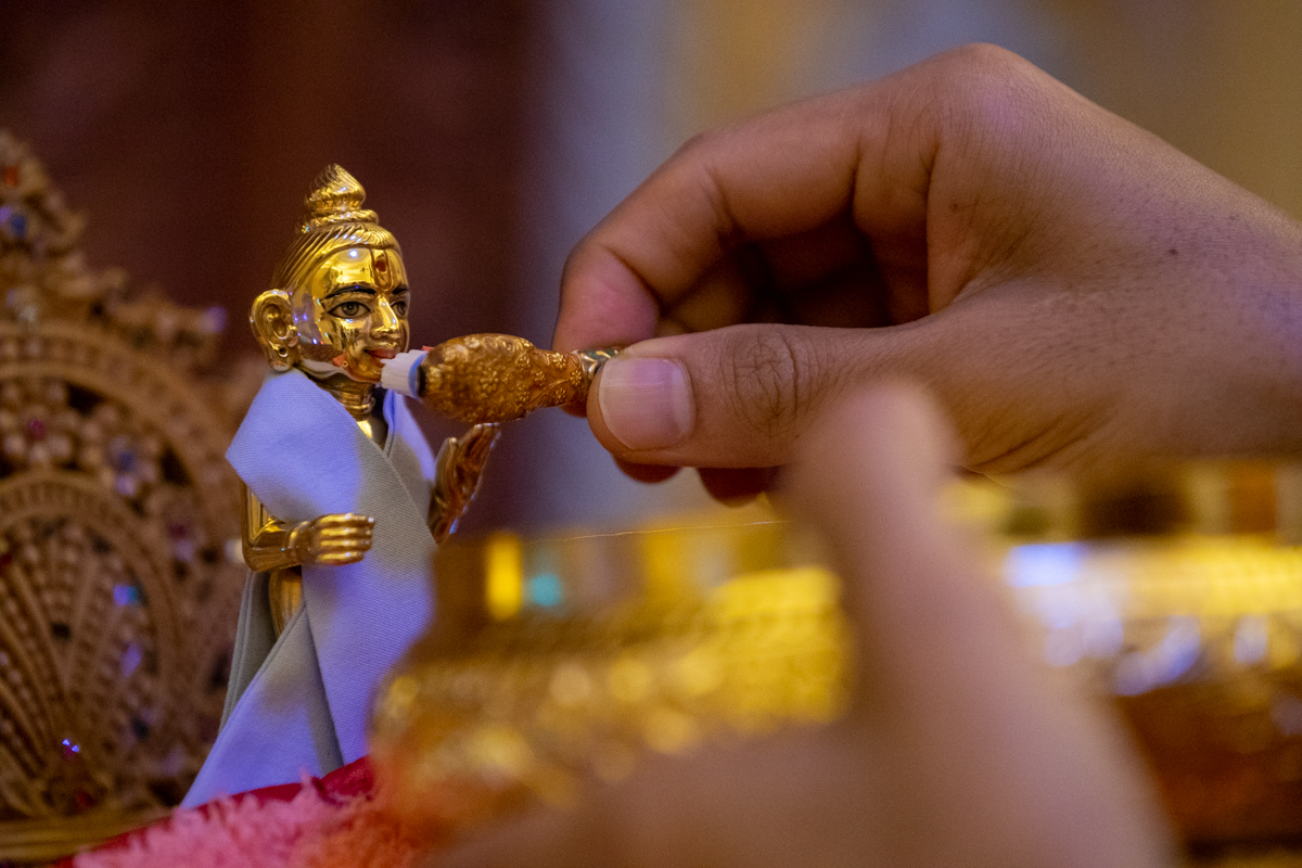Shri Harikrishna Maharaj morning darshan