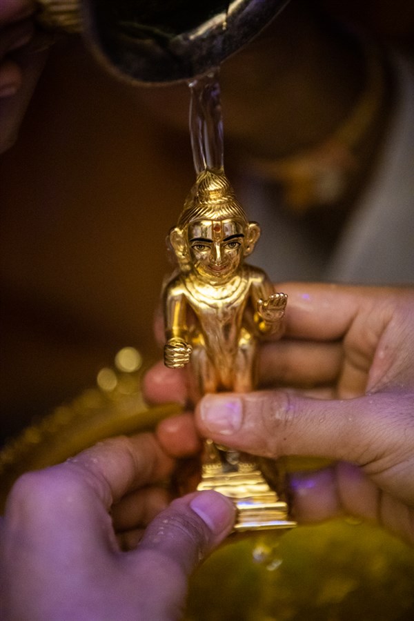 Shri Harikrishna Maharaj morning darshan