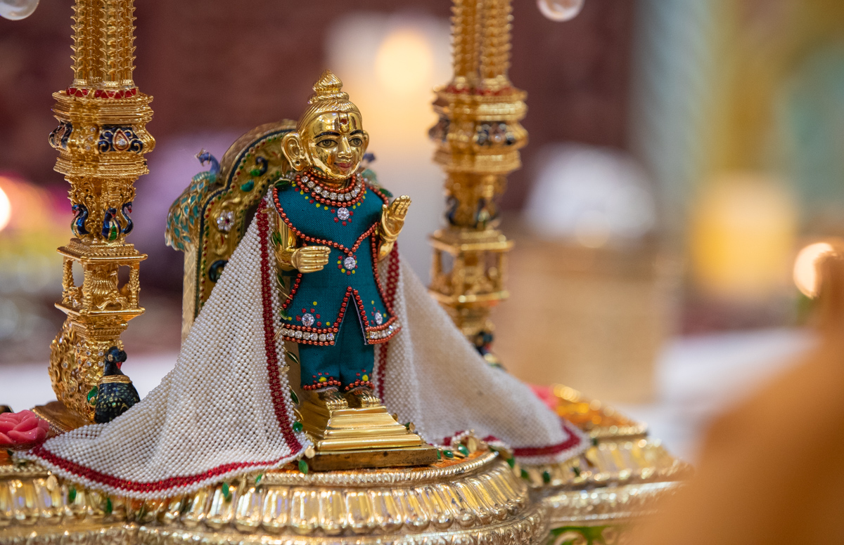 Shri Harikrishna Maharaj morning darshan