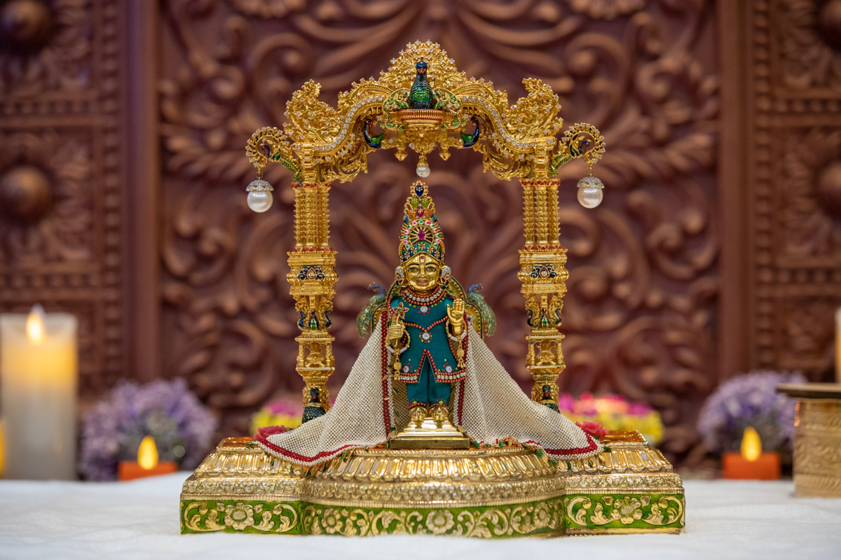 Shri Harikrishna Maharaj morning darshan