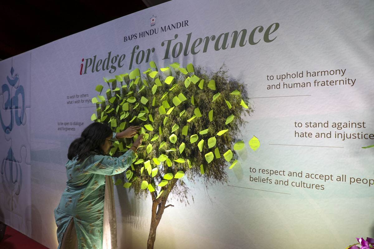 Ghaf Tree for Pledge to Tolerance, Annakut and Diwali  2019, BAPS Hindu Mandir, Abu Dhabi