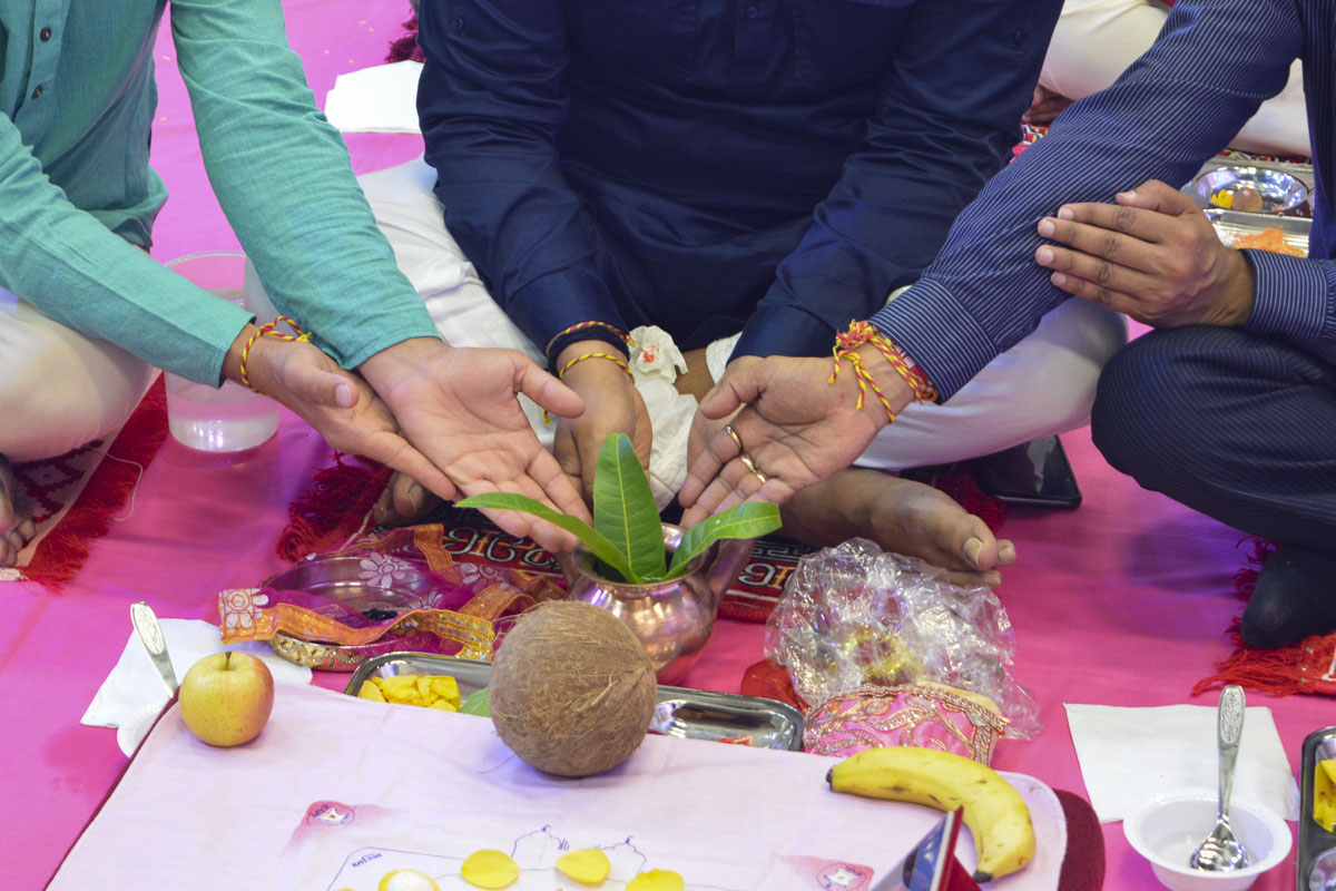 Diwali and Annakut Celebration 2019, Gold Coast