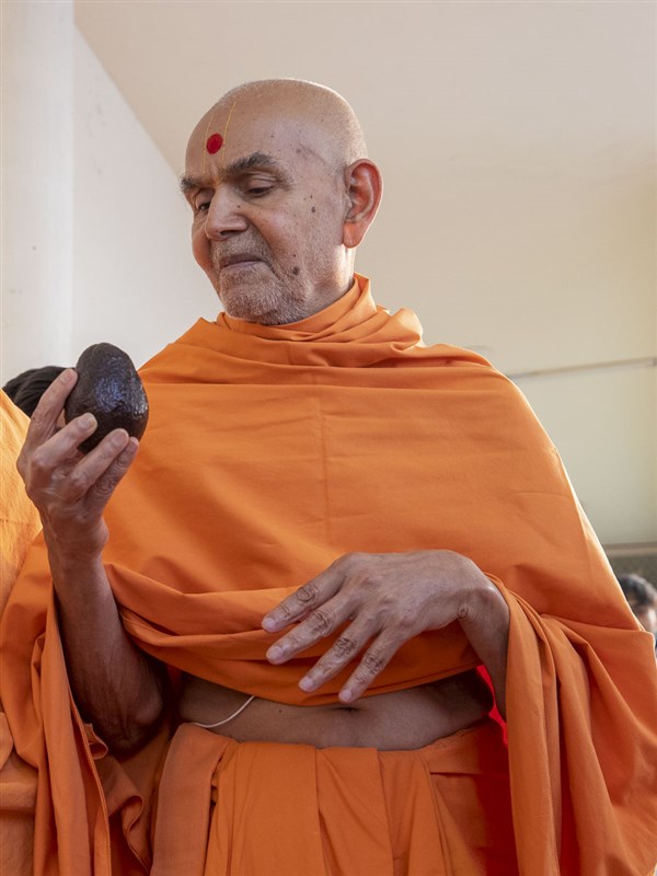 Swamishri observes an avocado fruit