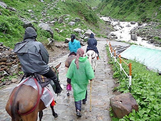 Kishoris ride mules to Kedarnath