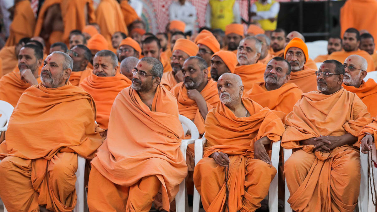 Sadhus during the assembly