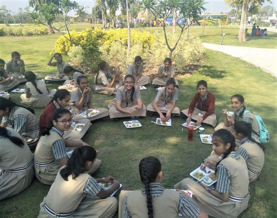 Lunch Time- enjoy with Shrikhand, Puri, and Gota