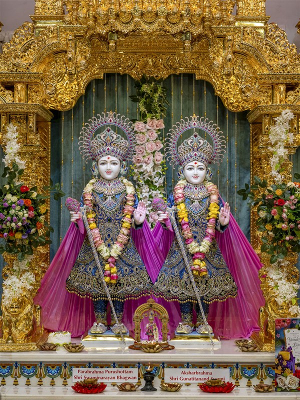 Shri Swaminarayan Jayanti & Ram Navmi Family Celebrations 2020, Africa