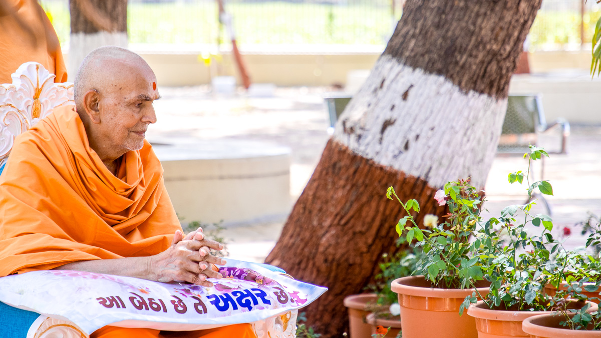 Swamishri observes plants