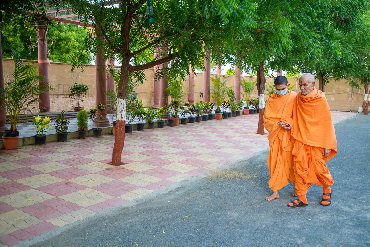 Swamishri walking in the Shantivan grounds in the evening