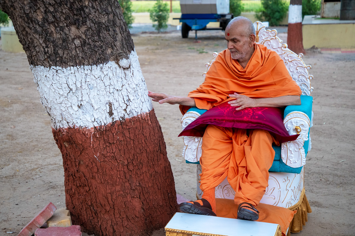 Swamishri reverentially touches the neem tree under which Pramukh Swami Maharaj often sat