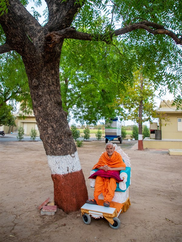 Swamishri under the neem tree 
