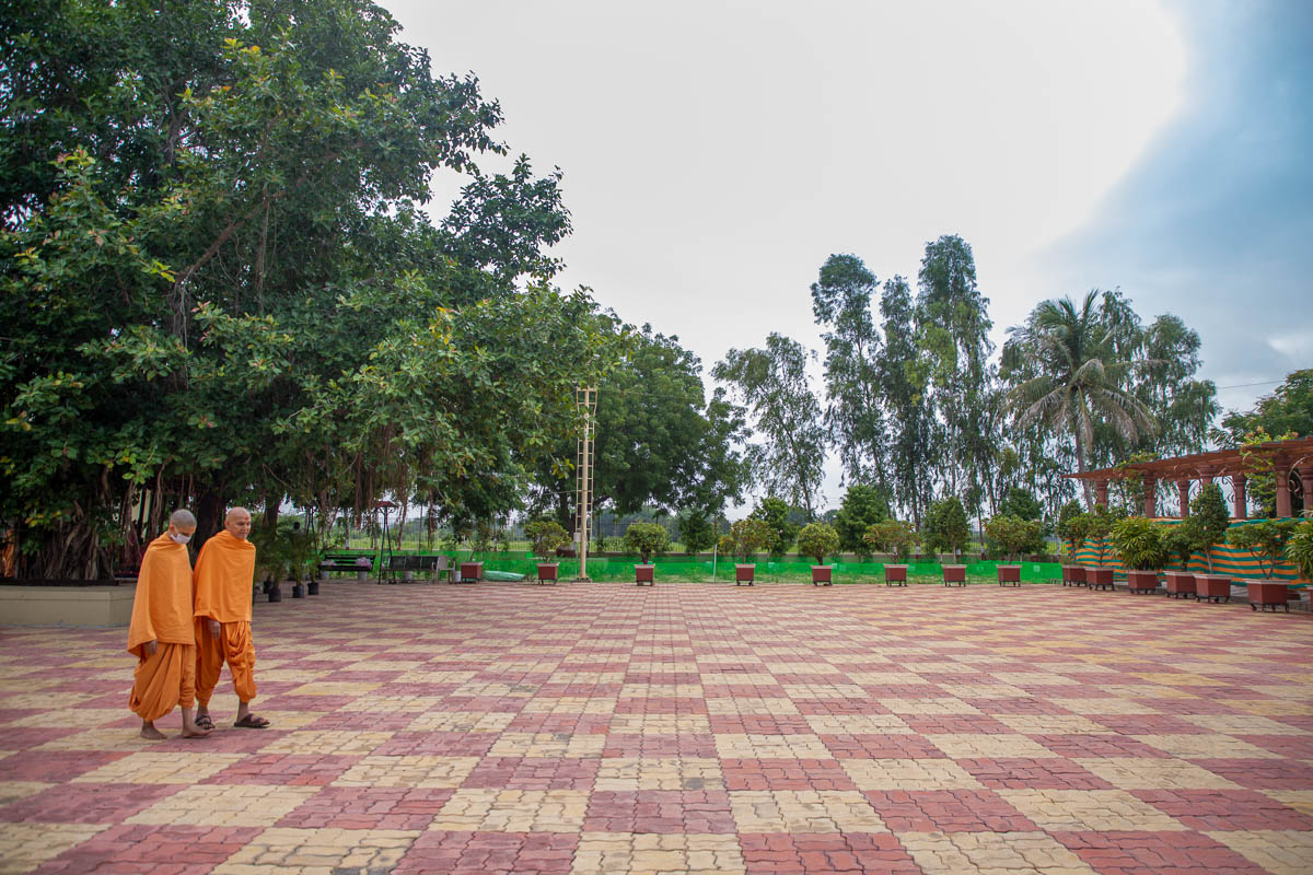 Swamishri in the Shantivan grounds 