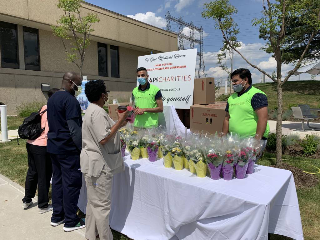 Volunteers distribute flowering plants, Canada