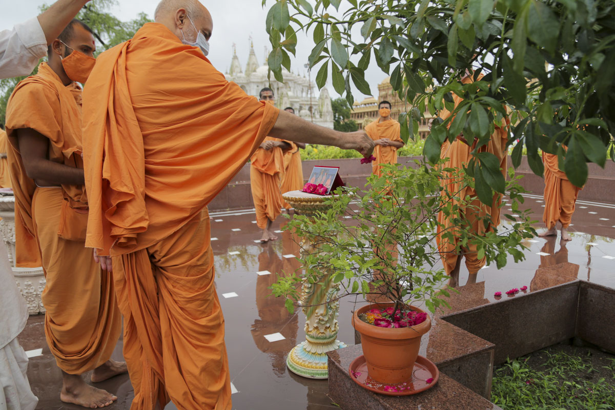 Pujya Viveksagar Swami performs pujan of a Tulsi plant