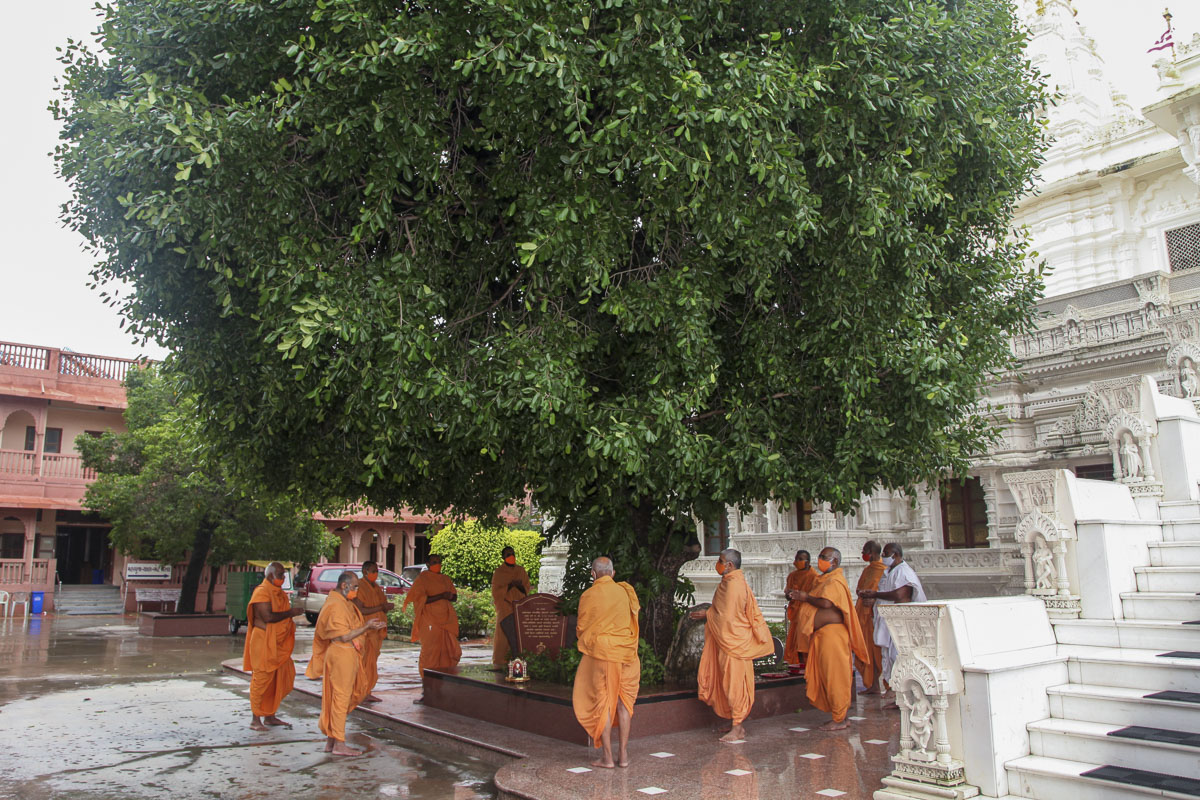 Prakruti Vandan by sadhus in Gondal