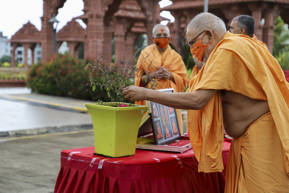 Pujya Kothari Swami performs pujan of a Tulsi plant