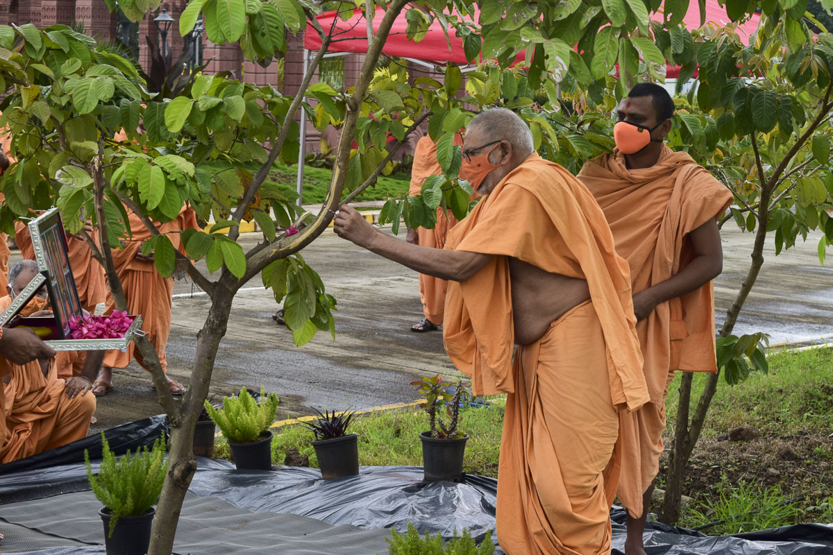Pujya Kothari Swami ties a nadachhadi to a tree
