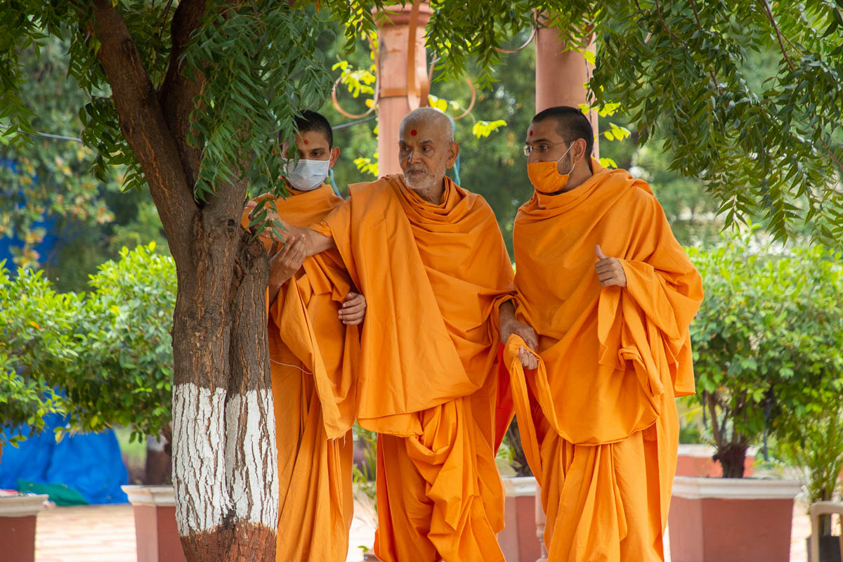 Swamishri sanctifies a neem tree