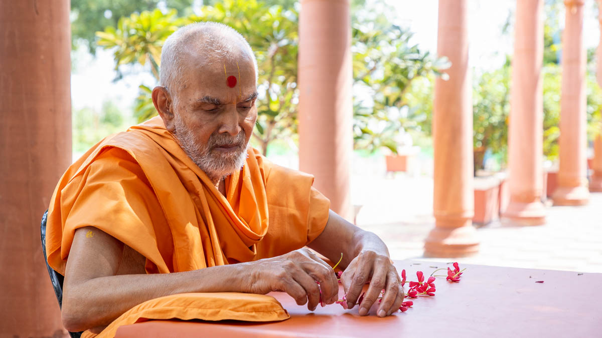 Swamishri makes a garland