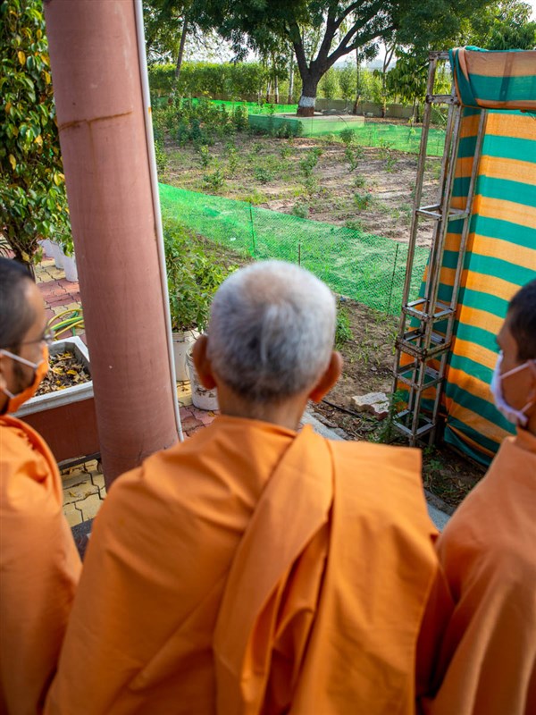 Swamishri observes the greenery of Shantivan