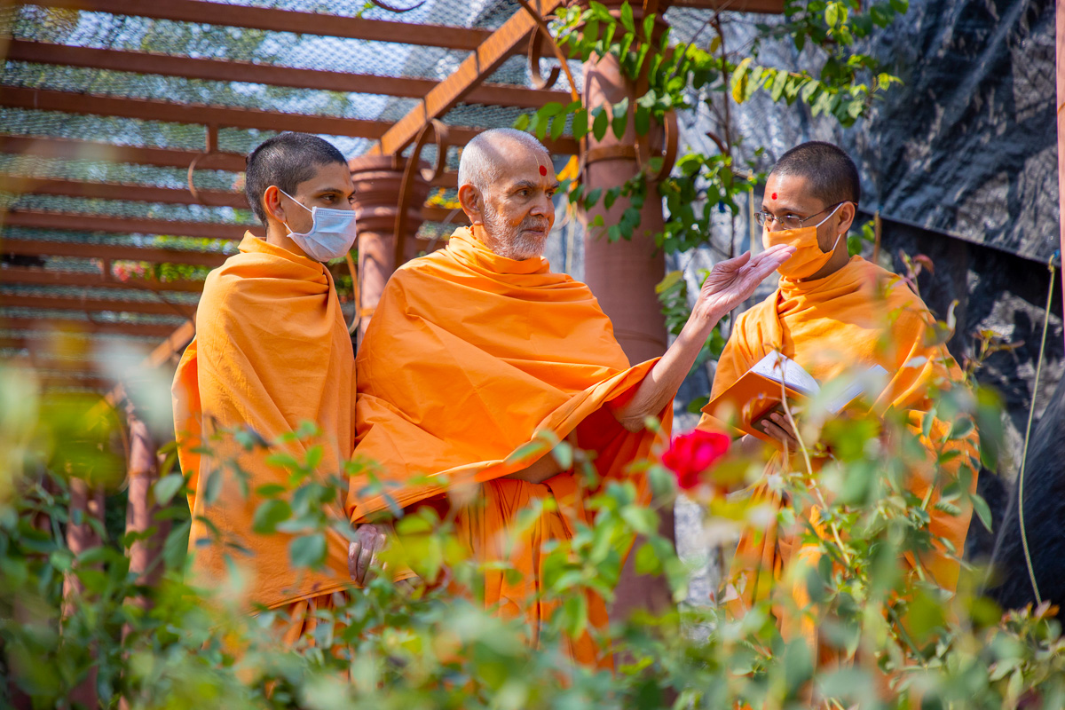 Swamishri observes greenery in the Shantivan grounds