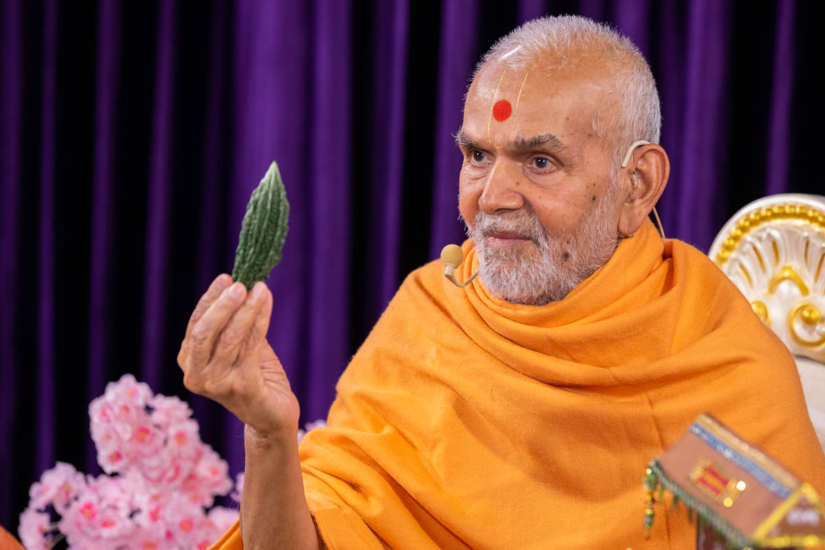 Swamishri sanctifies a bitter gourd (karela)