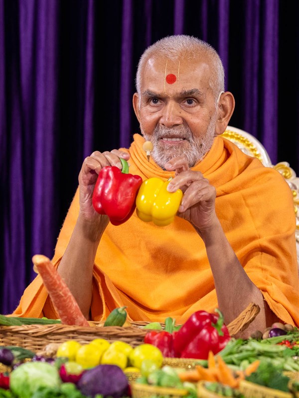 Swamishri sanctifies capsicums (bell peppers)