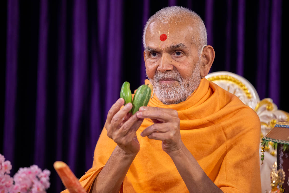 Swamishri sanctifies pointed gourds (parval)
