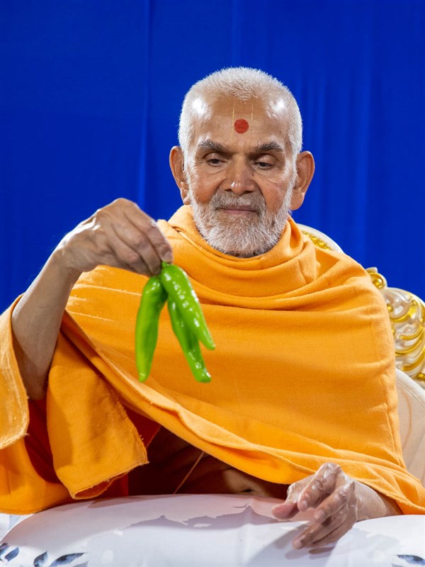 Swamishri sanctifies green chillies