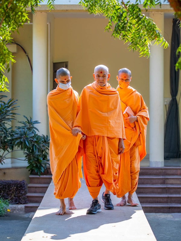 Swamishri arrives for his walk in the afternoon