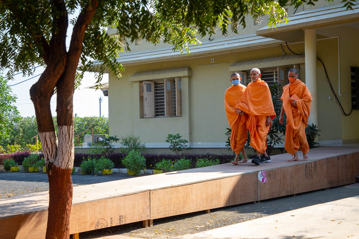 Swamishri arrives for his walk in the afternoon