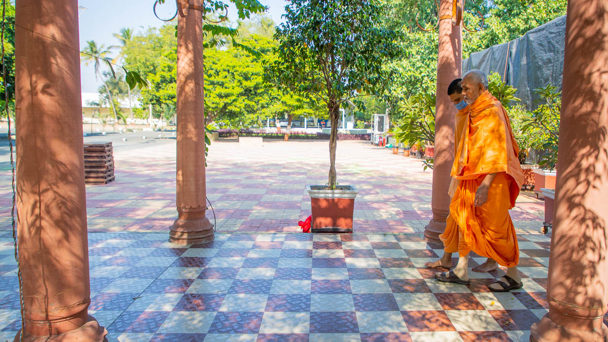 Swamishri during his walk in the afternoon