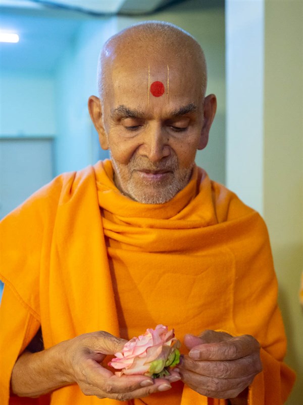 Swamishri observes a flower