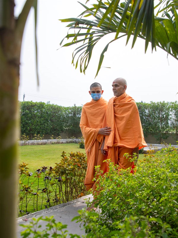 Swamishri during his walk in the afternoon 