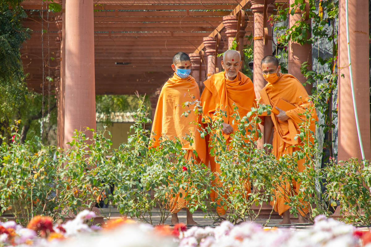 Swamishri observes plants in the Shantivan grounds