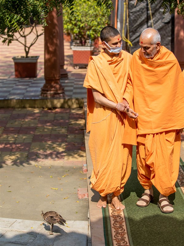 Swamishri after his walk in the afternoon