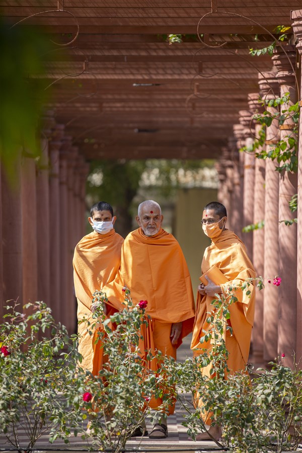 Swamishri observes the plants in Shantivan 